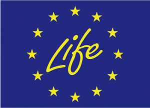 programa life programa life